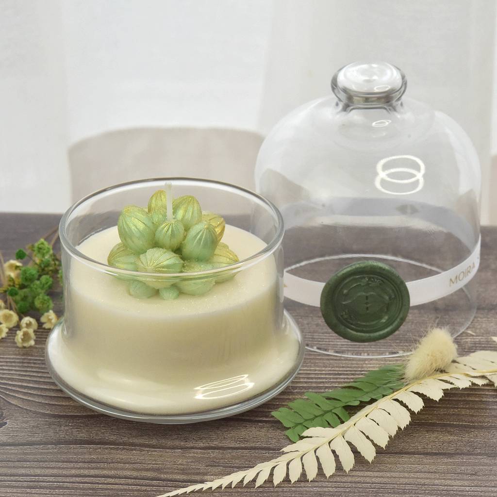 Candle in glass dome cactus thorns