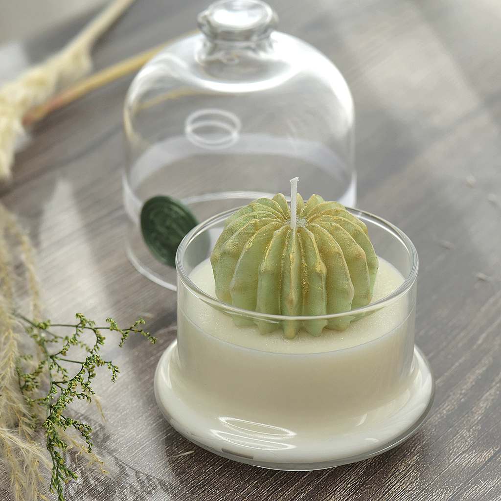 Cactus glass dome ball candle